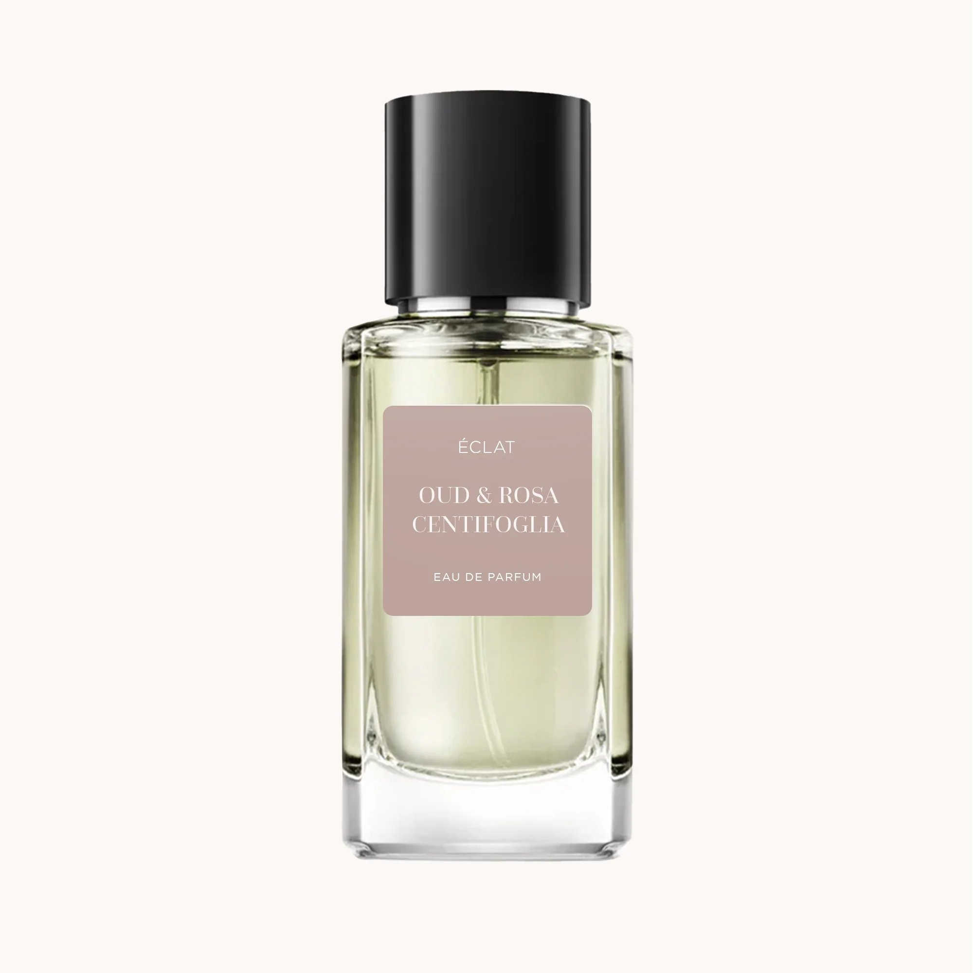 ÉCLAT Oud & Rosa Centifolia - Image 2